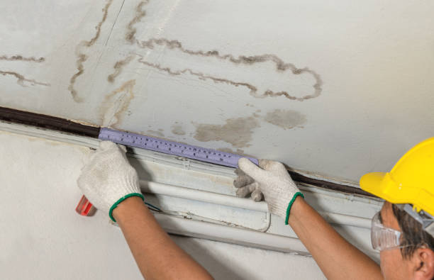 Reliable Mold Remediation contractor in Melvin Village, NH by Water Damage Irwin